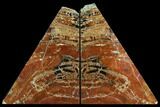 Arizona Petrified Wood Bookends - Red And Brown #123466-1